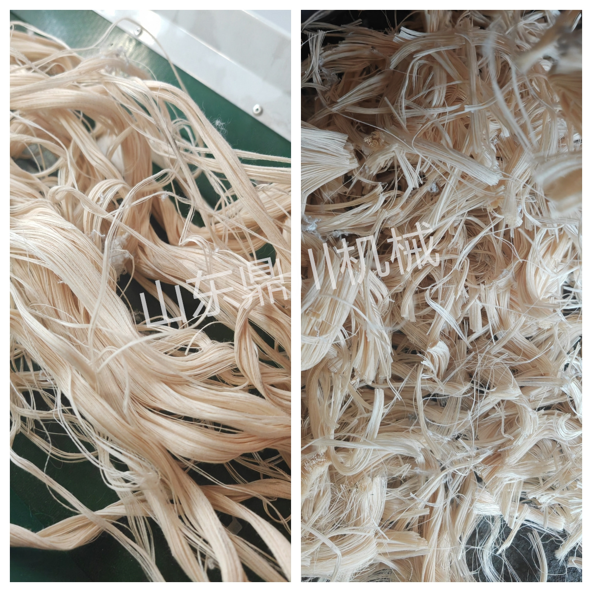 植物纖維絲短切效果