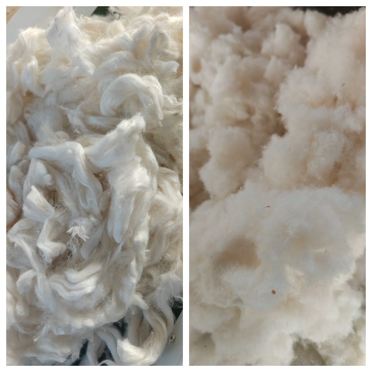 化纖棉條粉碎效果